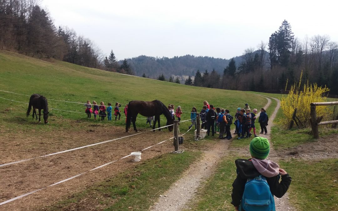 Športni dan, 2. razred