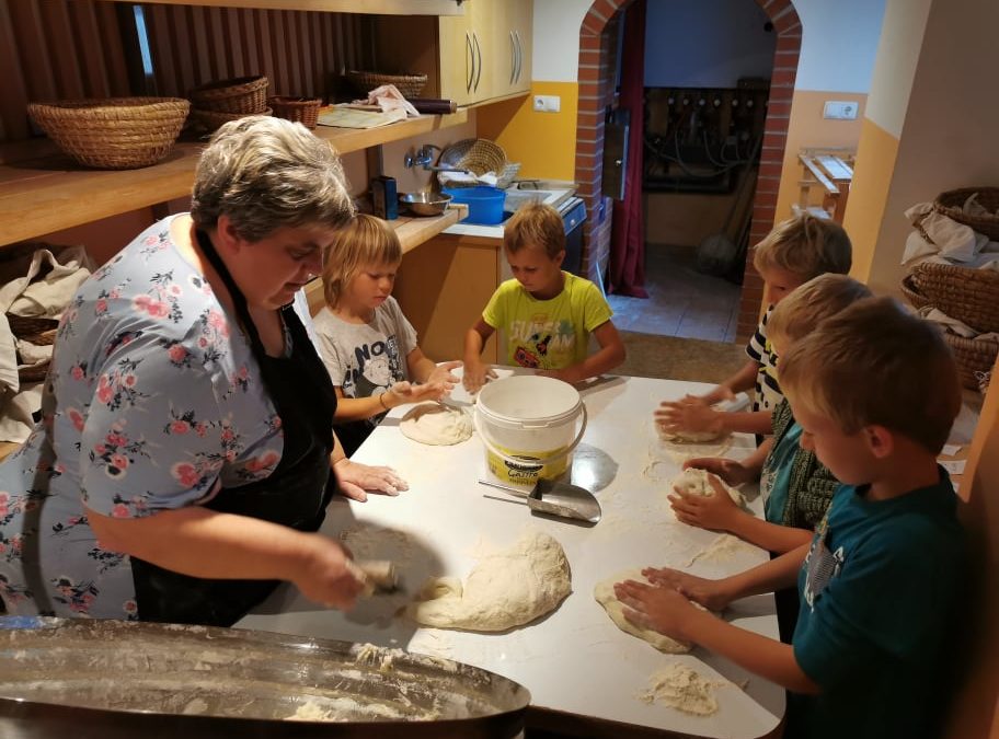 Naravoslovni tabor Podmlačan, 3. dan 2. B