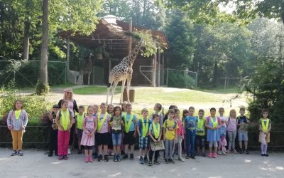 Prvošolci v živalskem vrtu